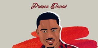 MILLION REASONS by Prince Davids